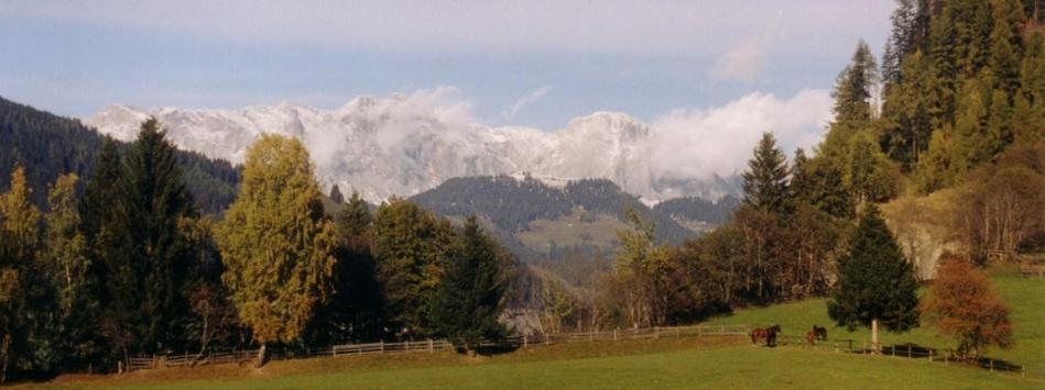 Embacherhof Buitenkant foto